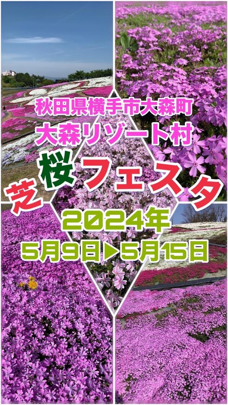 Hotel Dolphia-Adult Only Daisen  Extérieur photo